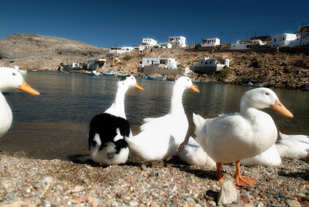 Romanza Cherronisos  Bagian luar foto
